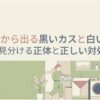洗濯機から出る黒いカスと白いカスについて、色で正体を見分けて正しく対処する方法を解説するスライド。洗濯機のあるランドリールームと洗濯物を持つ人物が描かれている。