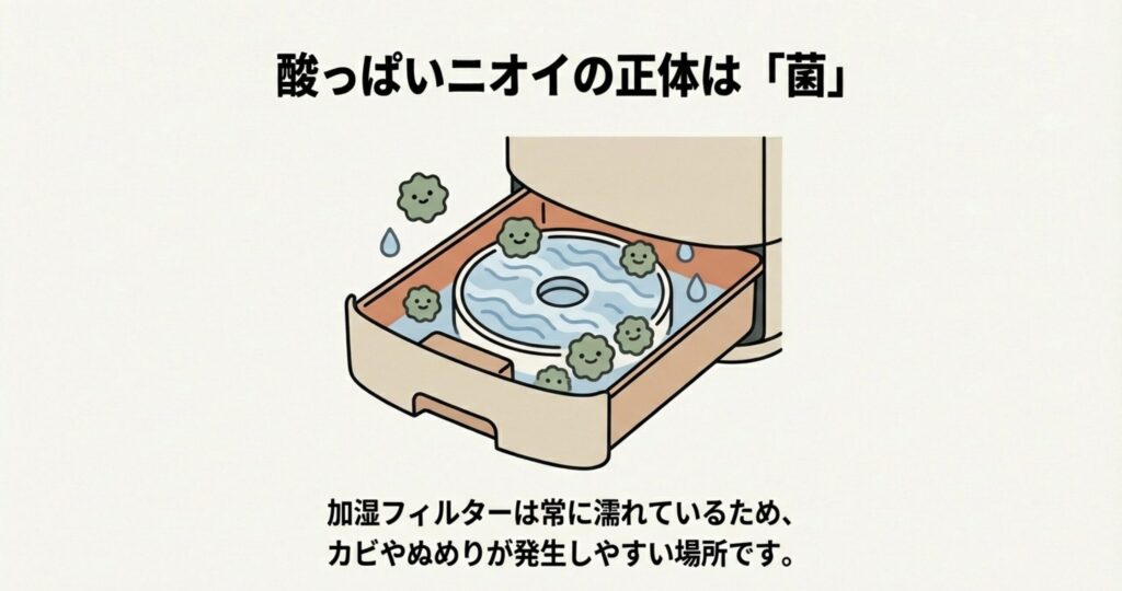 水に浸かった加湿フィルターに菌が発生しているイラスト。「酸っぱいニオイの正体は菌」というテキストがあり、湿気によるカビやぬめりの発生を説明している。