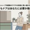 キッチンに置かれたシャープ冷蔵庫と女性のイラストで、どっちもドアが必要かを解説する記事全体の導入スライド