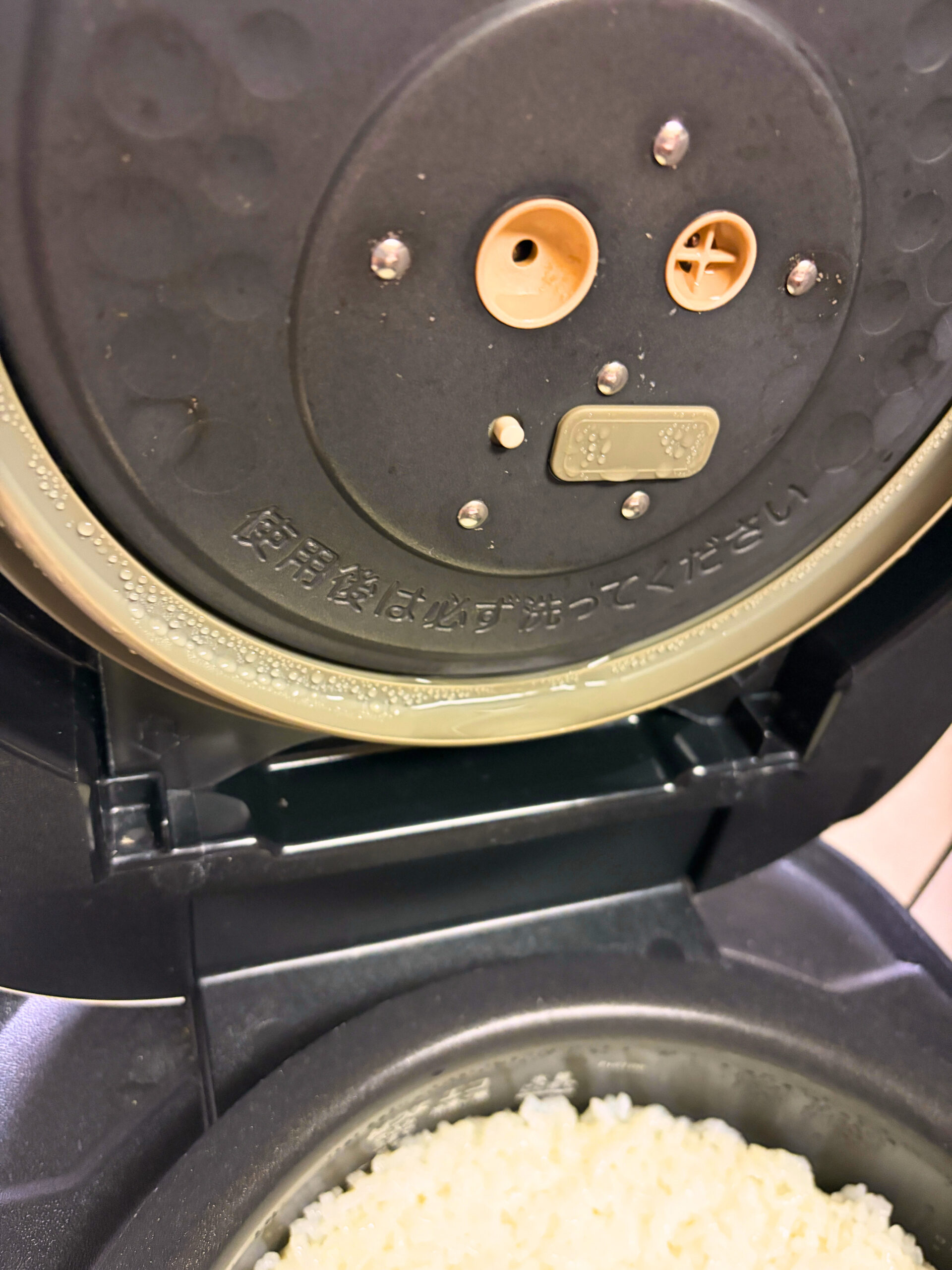 炊飯器のふたを開けた内側で内ぶたとパッキンに水滴が付いている様子